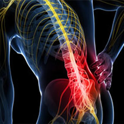 Spinal Infections & Trauma Conditions
